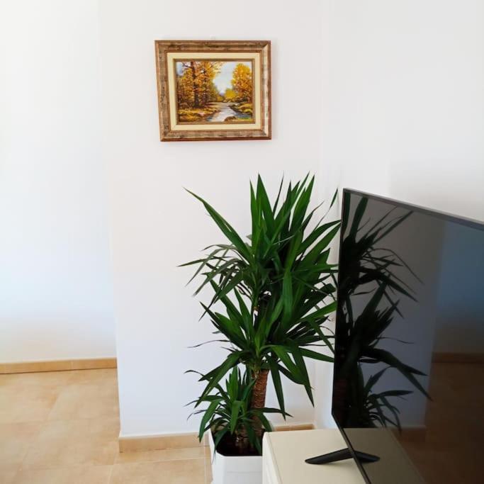 Apartamento Piso Sierra Calderona A 15 Minutos Del Mar Estivella Exterior foto